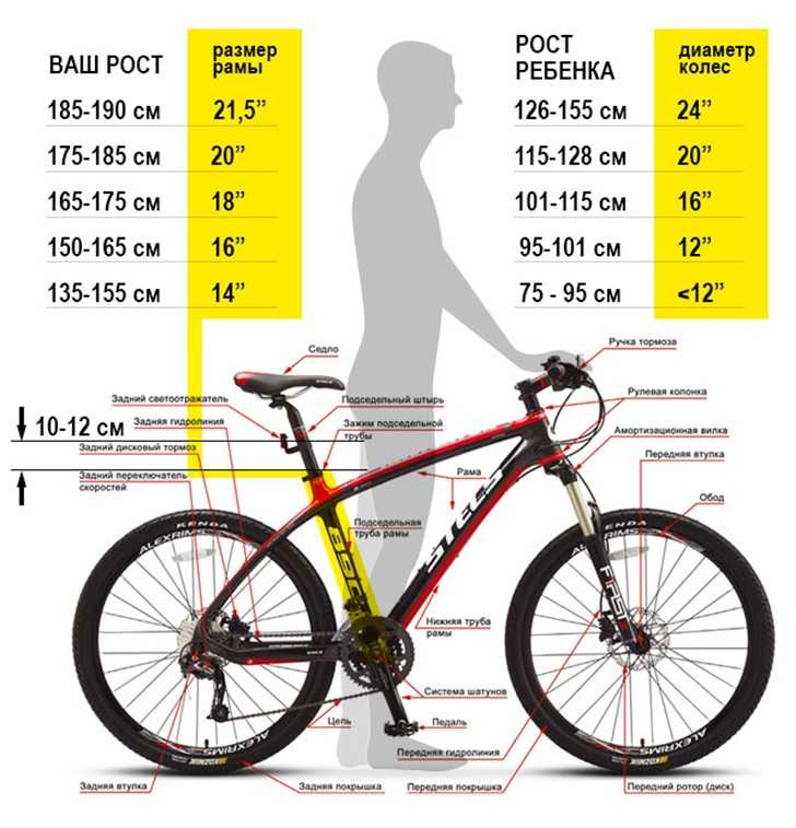 Как выбрать велосипед по росту